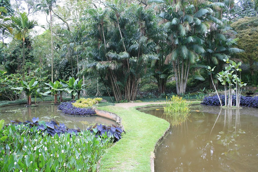 Burle Marx and the west side beaches