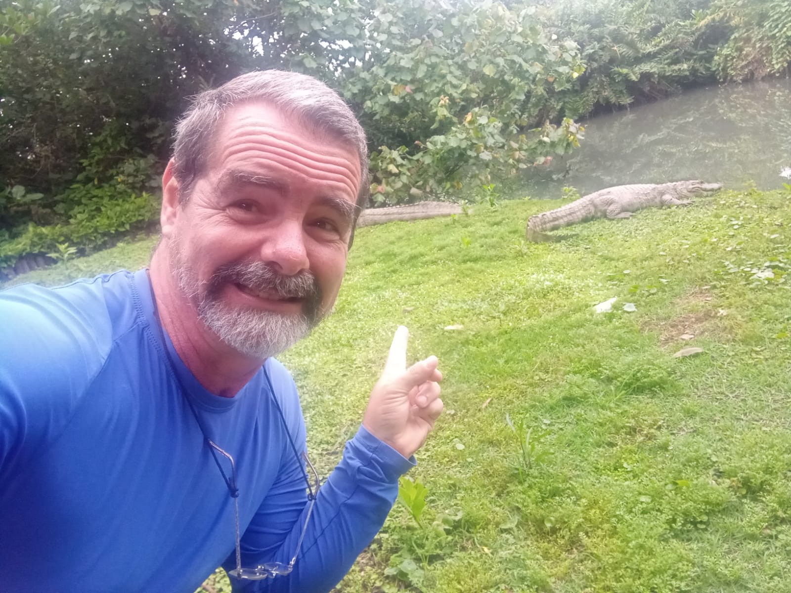 Wild life and the wetlands of Rio.